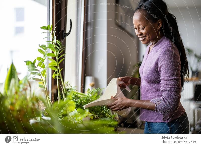 Beautiful woman watering plants at home people joy black natural attractive black woman happiness happy real people mature adult daily life adults one person