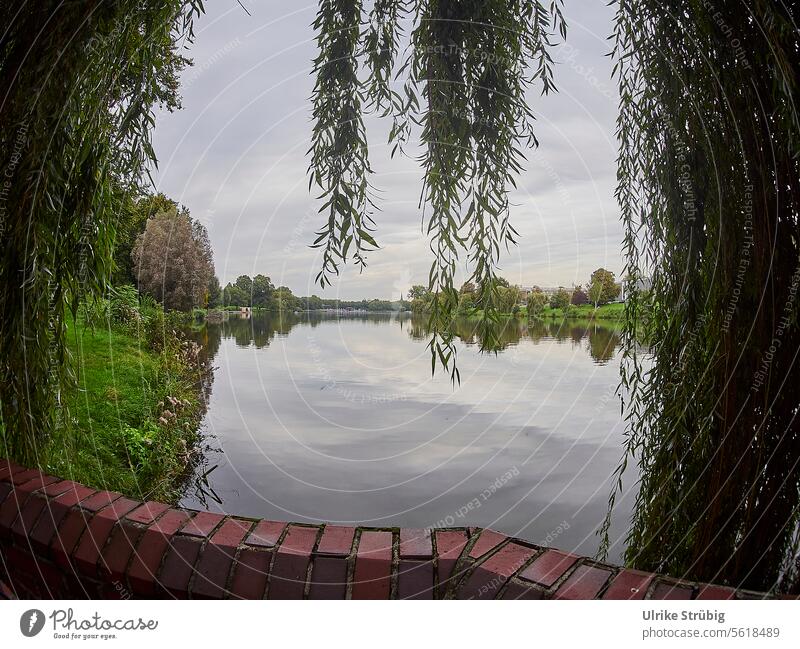 View of the lake through a pasture Lake Willow tree Tree Wall (barrier) Water cloudy Reflections Nature Landscape Calm Sky Lakeside Deserted Exterior shot