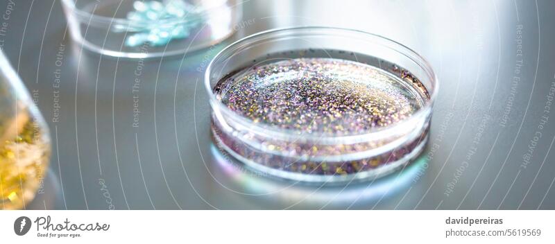 Petri dish with colorful glitter mixed sample in analysis fluid in environment research laboratory micro plastic petri liquid panoramic banner panorama web