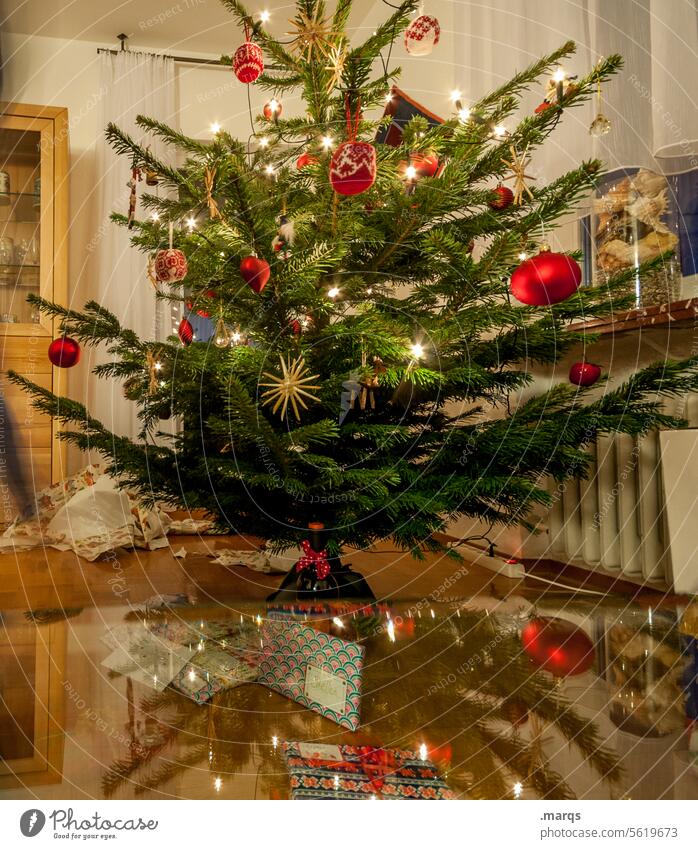 oh tannenbaum| ɯnɐquǝuuɐʇ ɥo Christmas & Advent Christmas tree fir tree at home Authentic Tradition Christmas mood celebrate Christmas christmas eve Christmassy