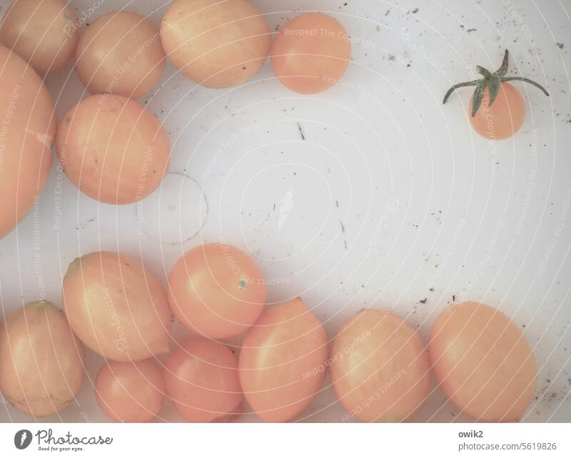 Young people Tomato Many Round Small Detail Containers and vessels Near Glittering Subdued colour Colour photo Healthy Eating Vitamin Vegetable pink pale