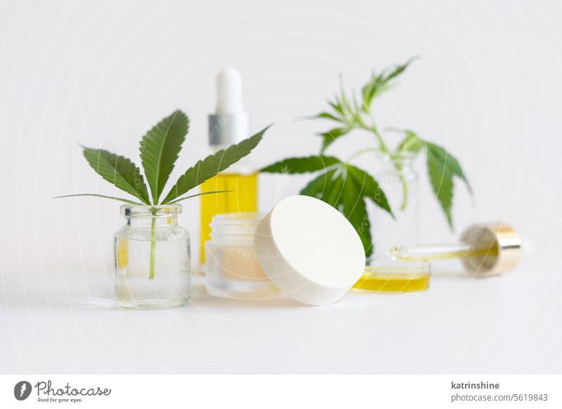 Cream jar and pipette with CBD oil near green cannabis leaves closeup on white, Cosmetic mockup cream cosmetic cbd hemp nature close up eco frienly organic