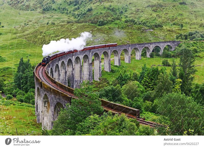 The steam locomotive on the famous Glenfinnan Viaduct in Scotland Train Steam Locomotive Railroad Highlands Bridge viaduct Engines Steamlocomotive rails known