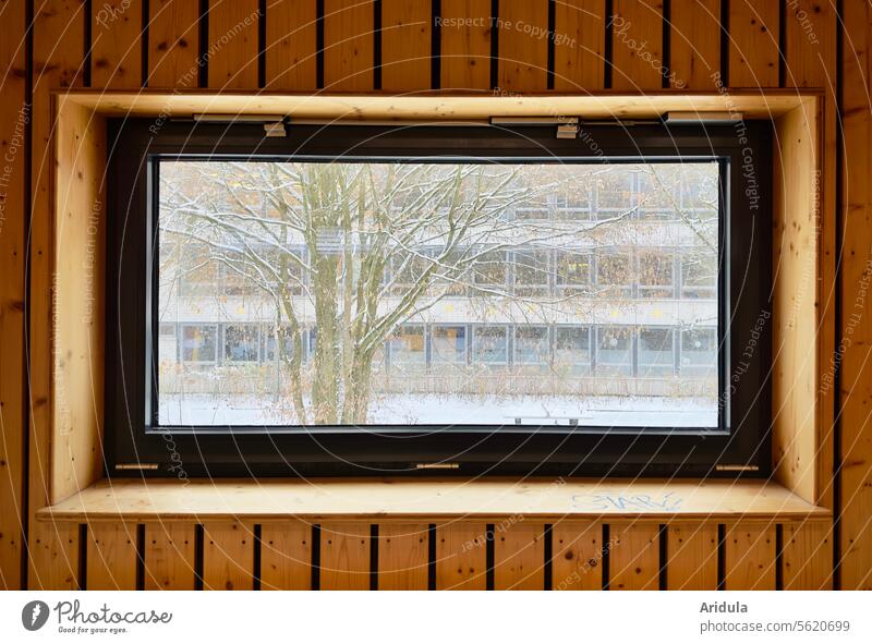 View of a building and a tree in the snow through a window Window Frame Window frame Wood Wall (building) Wooden wall paneling Winter Snow Building