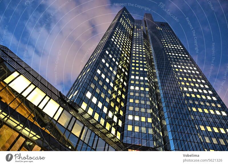 High-rise building in Frankfurt, early in the morning Architecture Lighting Business Office building Facade Window House (Residential Structure) Night at night