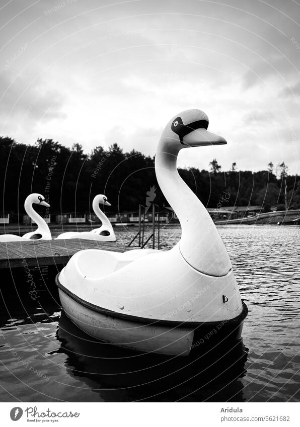 Pedal boat swans on a bathing lake b/w Pedalo Swan Lake Water Leisure and hobbies Summer vacation Watercraft Surface of water Relaxation