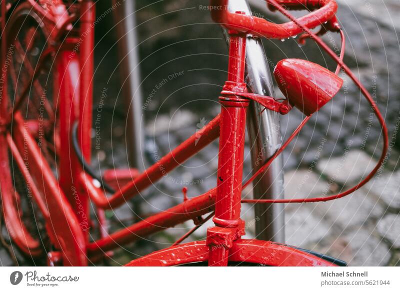 red bike Bicycle Red bike Cycling Means of transport Wheel Leisure and hobbies Sustainability Mobility Eco-friendly In transit Street means of locomotion