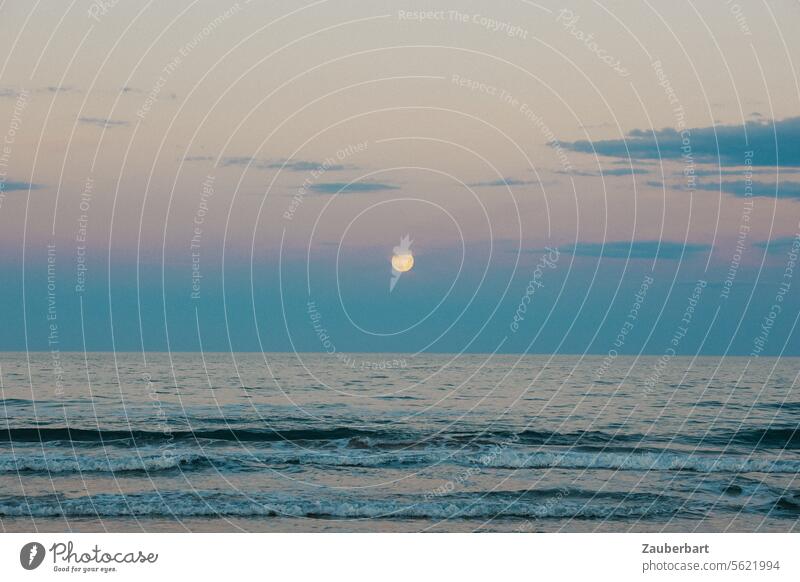 The moon is in the evening sky, sea and waves, sunset and soft clouds Moon Waves Ocean Evening Sky Sunset Clouds Delicate Dusk Twilight tranquillity Horizon