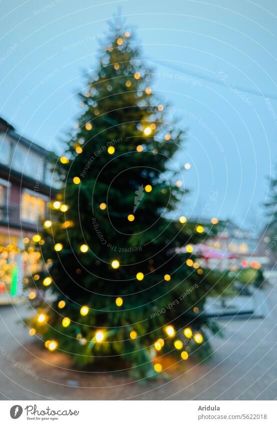 Illuminated Christmas tree in the pedestrian zone Lighting Tree Christmas & Advent Christmas fairy lights Fairy lights Christmas decoration