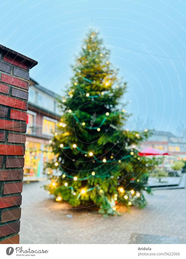 Christmas tree in the pedestrian zone Tree Lighting Christmas & Advent Christmas fairy lights Fairy lights Christmas decoration Feasts & Celebrations