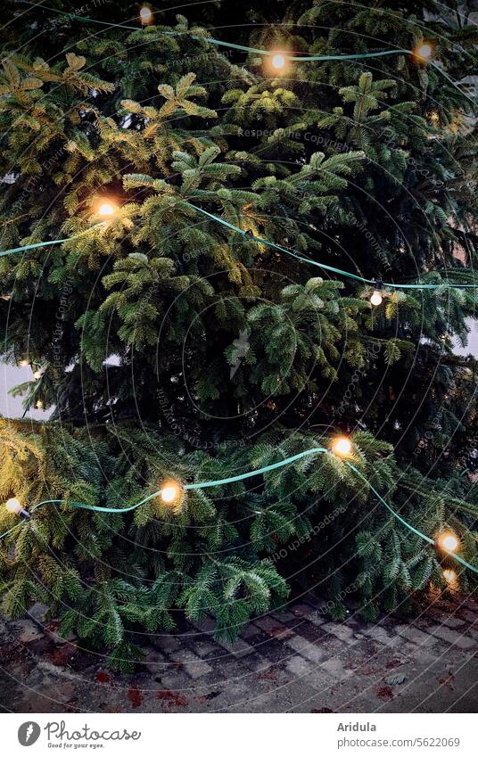 Oh Christmas tree | Fairy lights on the Christmas tree Tree Lighting Christmas & Advent Christmas fairy lights Christmas decoration Feasts & Celebrations