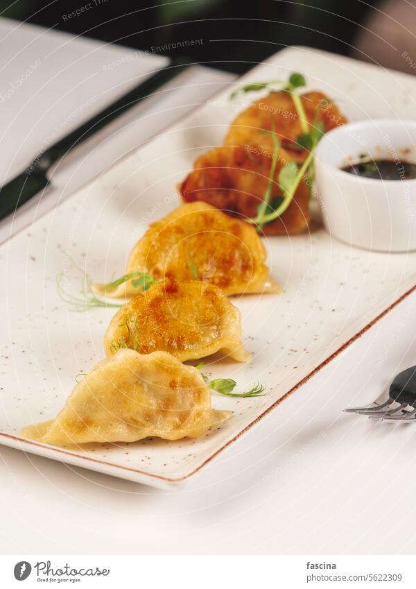 Gyoza or Jiaozi Traditional Asian Food jiaozi gyoza food asian chinese crispy background fish cuisine traditional snack lunch dish korean delicious tasty meal