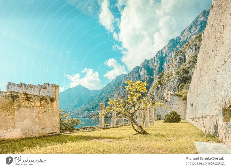 Former lime plantation on Lake Garda Lago Italy Lombardy Water Harbour seascape port picturesque lake view pastel Limone