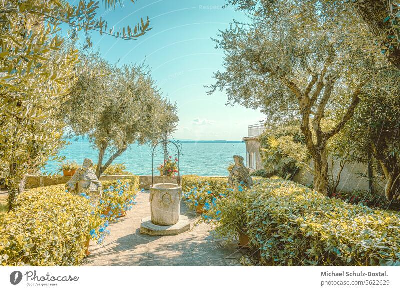 Mediterranean garden with lake view Lago Garda Lake Italy Lombardy Water Harbour seascape port picturesque pastel Garden Lake Garda