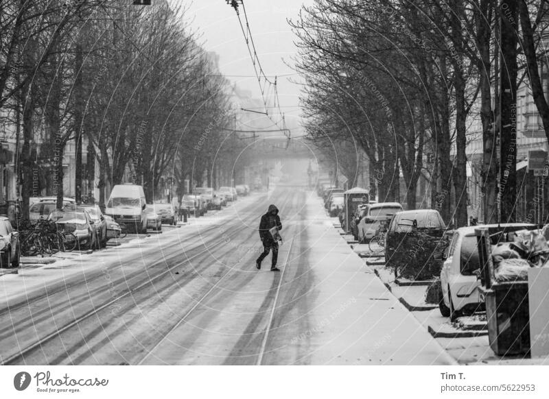 Chestnut avenue with snow Prenzlauer Berg Winter Snow chestnut avenue b/w bnw Berlin Town Downtown Black & white photo Capital city Exterior shot Old town Day