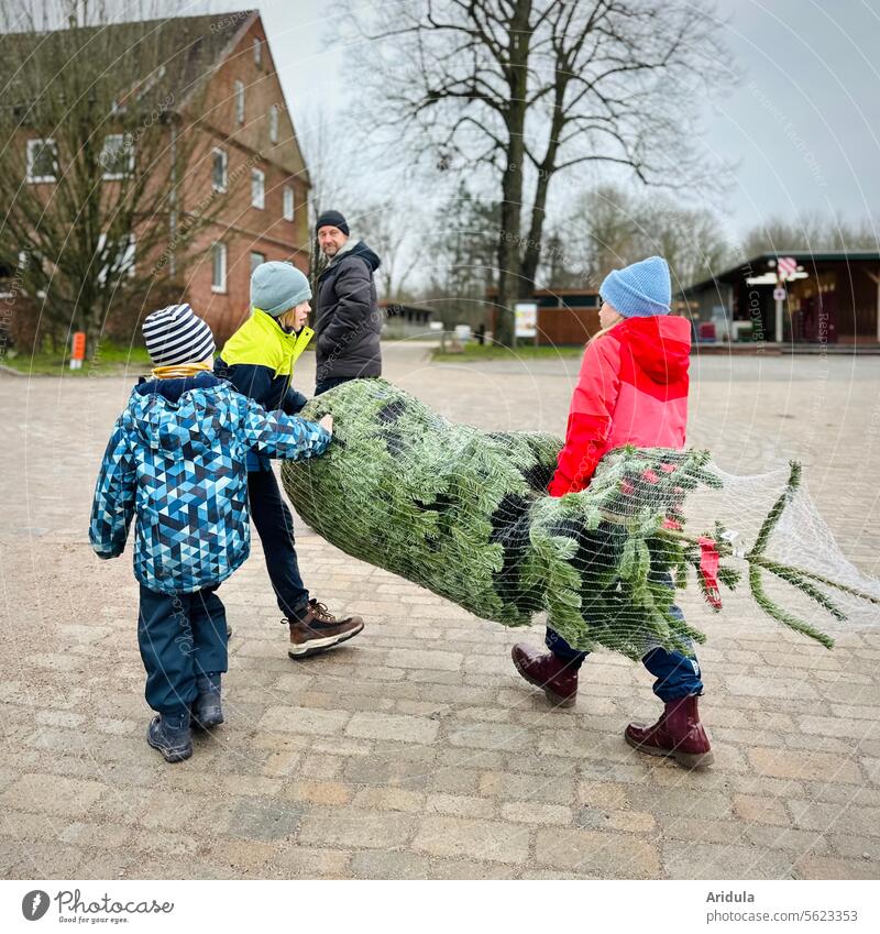 Buy a Christmas tree Child Man Father Fir tree Shopping fir tree twigs Hide Christmas & Advent Tradition pre-Christmas period Anticipation children Carrying