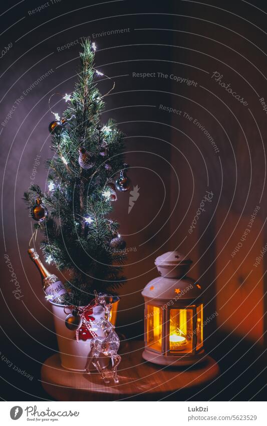 Christmas Tree with Christmas Lights Light (Natural Phenomenon) Evening advent season Lighting Fairy lights Christmas fairy lights Anticipation Moody