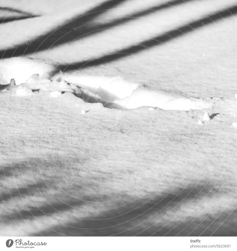 snow tracks Traces of snow footprints Snow Snow layer Tracks snow-covered cold feet tracks in the snow footsteps Tracking Light Shadow Light and shadow