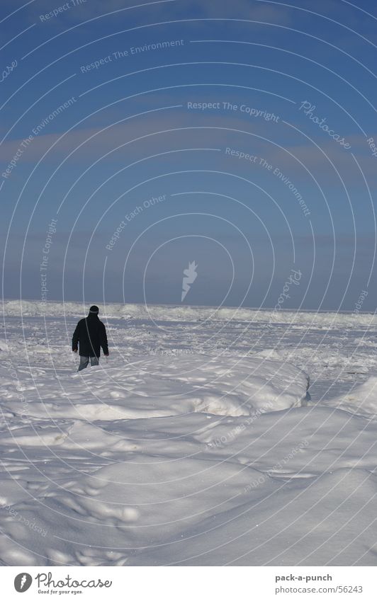 ice desert Winter Horizon Seasons Man Exterior shot Pack ice Frozen Ice Far-off places Baltic Sea