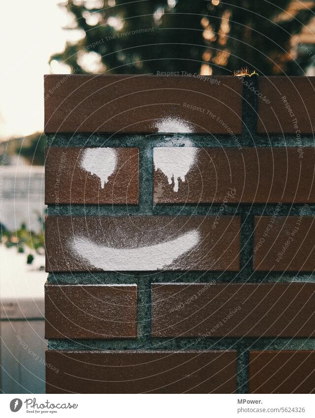 smiley Smiley face house wall Wall (barrier) Brick street art street photography gravity Face Smiling Emotions Funny Expression portrait Happiness Sign Positive