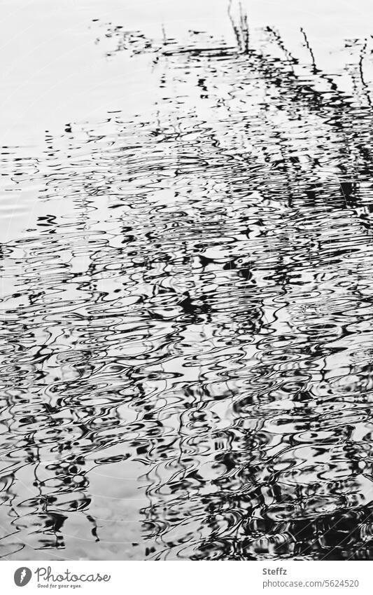 Reflection in the water reflection Water reflection curved lines texture Abstract disheveling blurred Lake Lakeside Pond Surface of water abstraction Washed out