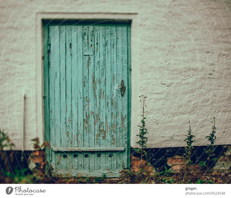 Weathered wooden door Wood Wooden door Old Colour photo Deserted Exterior shot Closed Entrance Front door Detail Structures and shapes locked Goal Wooden gate
