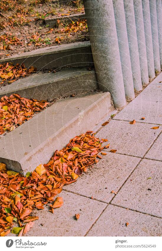 Concrete steps with fall leaves Gray stagger Wall (barrier) Autumn leaves russet green speckled Round Sharp-edged Contrast Paving tiles Deserted Colour photo