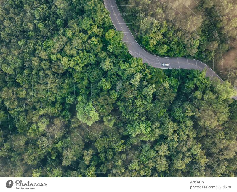 Aerial top view of car driving on highway road in the forest. Green trees and morning fog. Green trees background for carbon neutrality and net zero emissions concept. Sustainable green environment.
