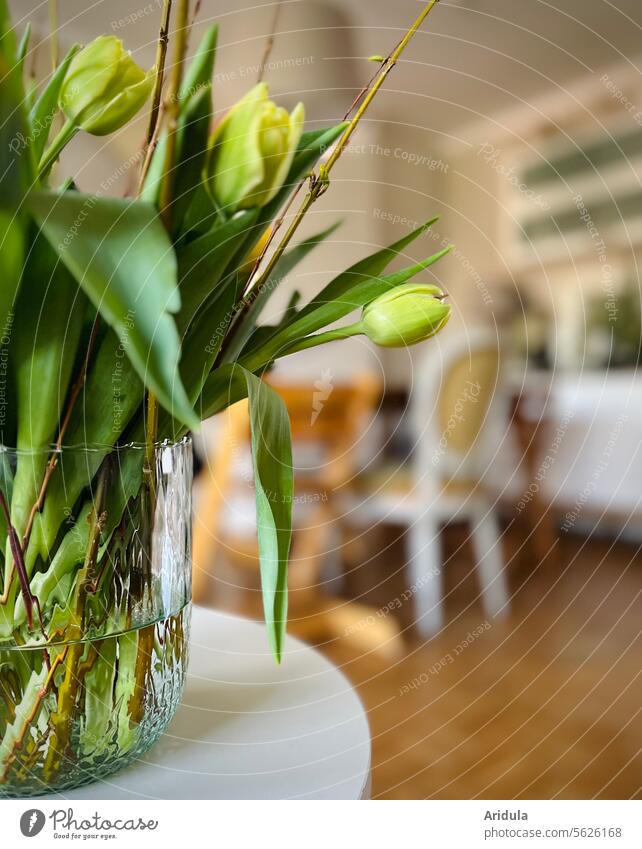 A little bit of spring ... tulips flowers Tulip Bouquet Spring Flower Blossom Green Tulip blossom Blossoming Decoration Living room furnishing blurriness