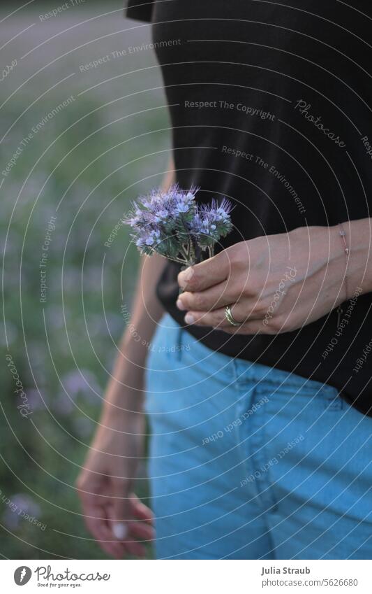 Woman holding flowers ( phacelia ) in her hand Flower meadow blue pants black T-shirt hands stop Pick plants Wedding band Hand Bracelet Summer Give flowers