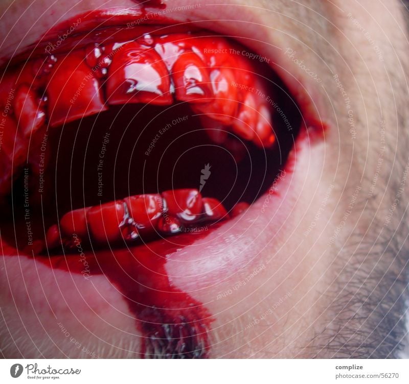 hit me! Man Adults Mouth Teeth Facial hair Laughter Disgust Dangerous Respect Force Wound Tooth space Man-eater Obscure Blood Man`s mouth Partially visible