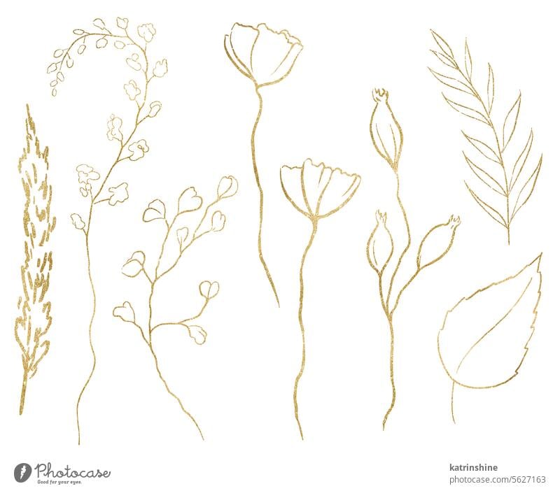 Watercolor wildflowers, golden outlines isolated illustration, wedding stationery element Birthday Botanical Decoration Drawing Element Foliage Garden