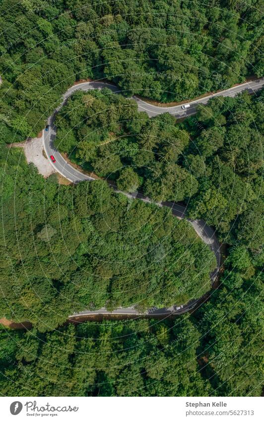 Aerial view of a red car driving along a serpentine road through a green forest. curve aerial view travel idyllic nature trees top view landscape rural outdoors
