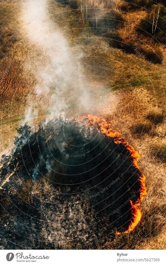 Aerial View Of Dry Grass Burns During Drought And Hot Weather. Natural Disaster. Concept Of Save Nature. Bush Fire And Smoke In Meadow Field. Wild Open Fire Destroys Grass. Nature In Danger
