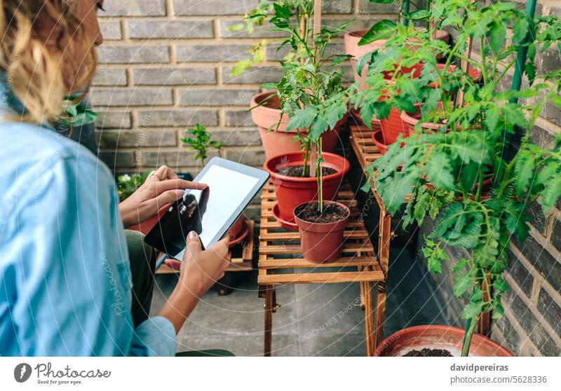 Woman touching digital tablet while caring plants of urban garden on terrace gardener woman female using device screen app application artificial intelligence