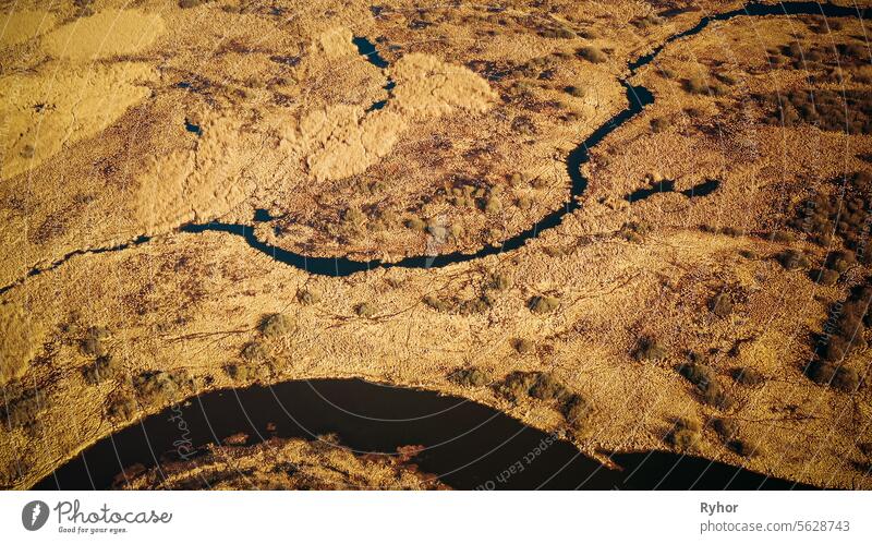 Aerial View Curved River In Early Spring Landscape. River bends river attitude swamp park view top view curve wetland belarus water birds eye view environment