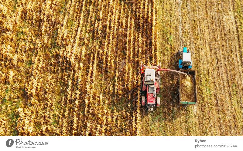 Aerial View Of Rural Landscape. Combine Harvester And Tractor Working In Corn Field. Collects Dry Corn Plants. Harvesting Of Maize In Late Summer. Agricultural Machine Collecting Plants In Cornfield. Bird's-eye Drone View