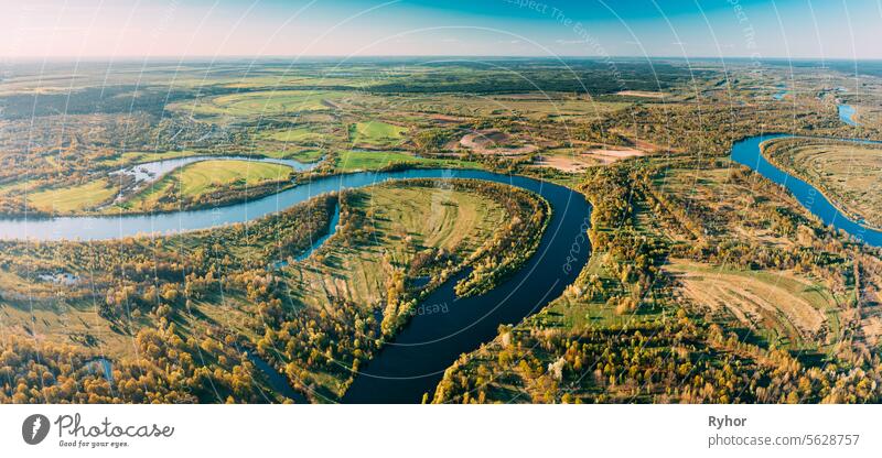 Panorama Aerial View Green Forest Woods And River Landscape In Sunny Spring Summer Day. Top View Of Nature, Bird's Eye View. Trees Standing In Water During Spring Flood floodwaters. woods in Water deluge During A Spring Flood. panoramic view