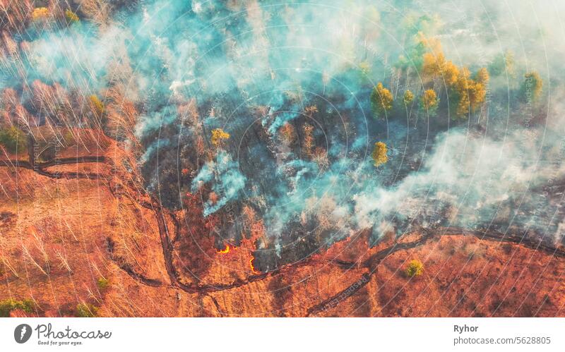 Aerial View. Spring Dry Grass Burns During Drought Hot Weather. Bush Fire And Smoke In Deforestation Zone. Wild Open Fire Destroys Grass. Nature In Danger. Ecological Problem Air Pollution