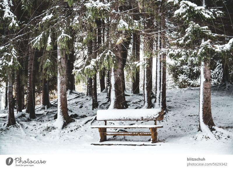 A lightly snow-covered bench in November Sunday Leisure and hobbies Freedom mountains Snow Switzerland Suisse Landscape Environment lenzerheide
