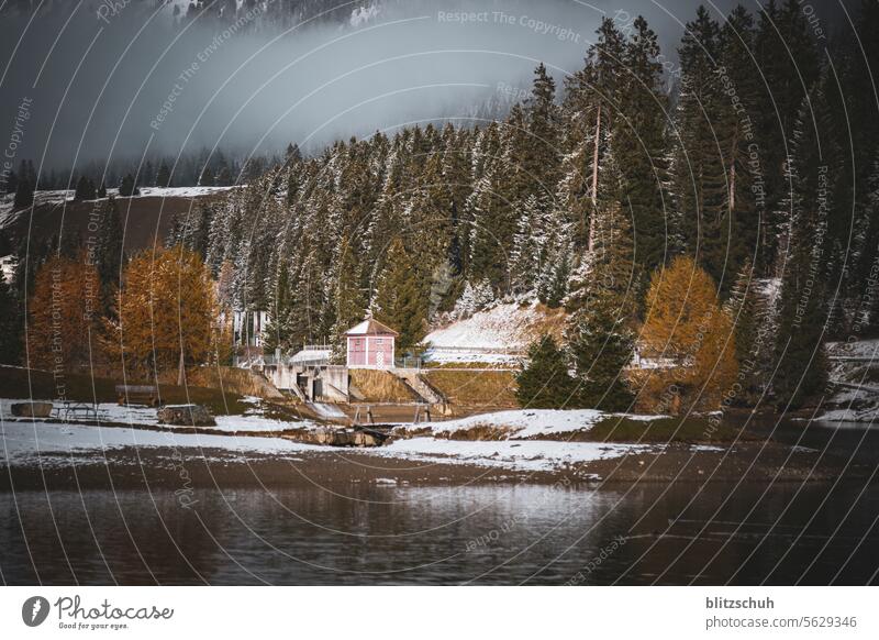 At the mountain lake in November before winter really sets in Sunday Leisure and hobbies Freedom mountains Snow Switzerland Suisse Landscape Environment