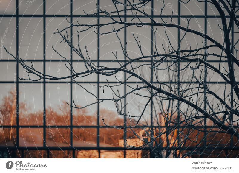 Bare branches against the pattern of a glass façade reflecting autumnal trees, twigs Bleak Pattern Glass Facade reflection Delicate Silhouette double promise
