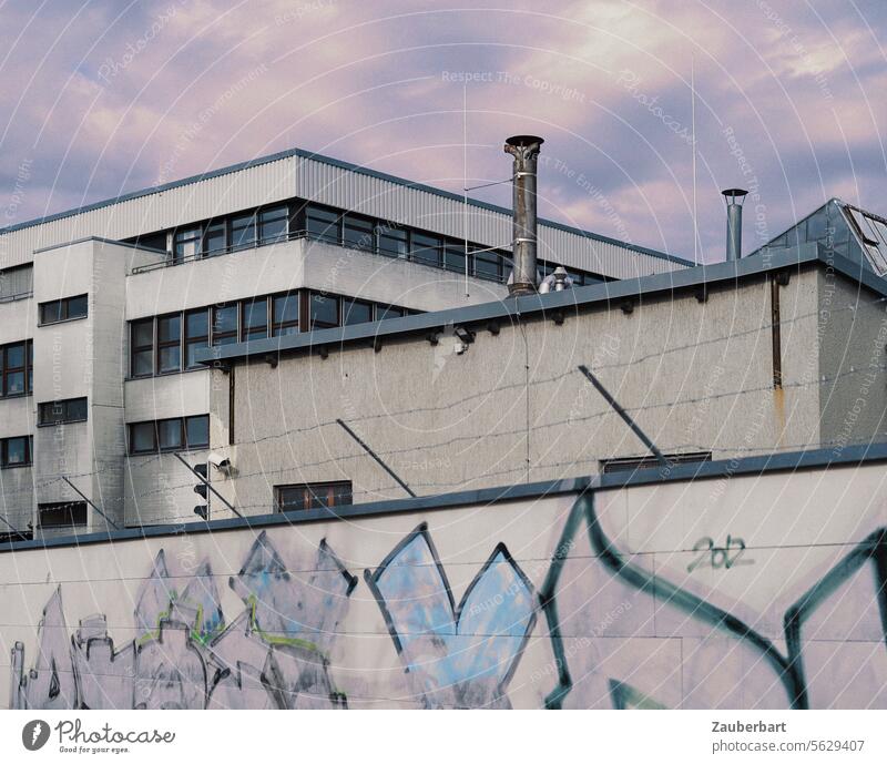 Modern building behind wall with graffiti in pastel colors, purple and blue, with matching sky Building Multipurpose building Office building boringly Standard