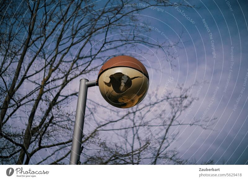 Street lamp, spherical shape from the 70s, with damaged casing, in front of branches and evening sky streetlamp Lantern Lighting Sphere Ball shape 1970s Damage