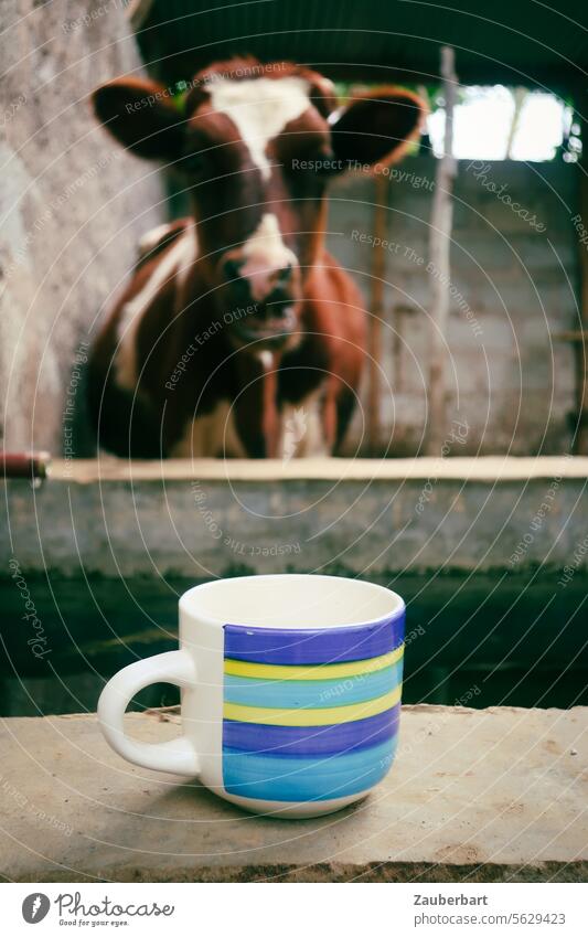 A cow looks over the trough at a cup Cow Trough Cup Coffee Tea Breakfast Barn Looking Animal Beverage Drinking Blue astonishment