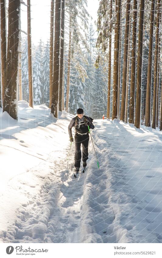 Middle-aged cross-country skier aged 50-55 makes his own track in deep snow in the wilderness in the morning sunny weather in Beskydy mountains, Czech Republic