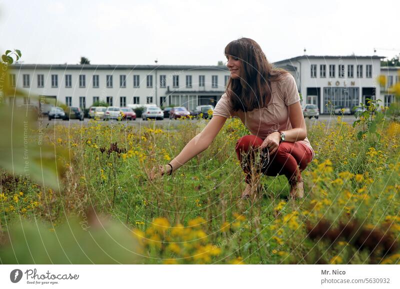 woman Park Flower meadow Plant Building pick flowers Crouch Spring Flower power Spring fever Meadow Parking lot Long-haired city park Feminine city greening