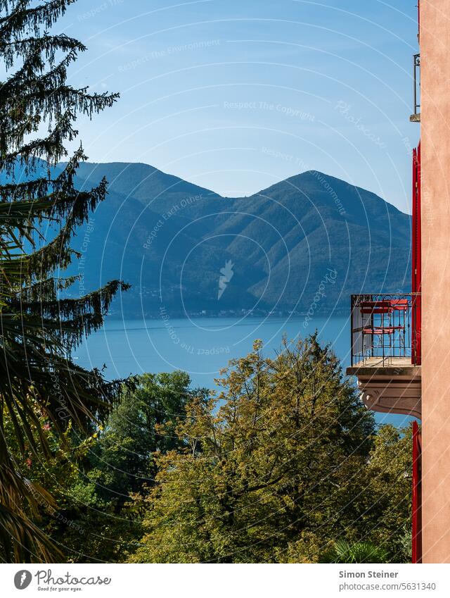 Room with a view Lago Maggiore Lake lake view Balcony Nature Vantage point Ascona Ticino Switzerland Water