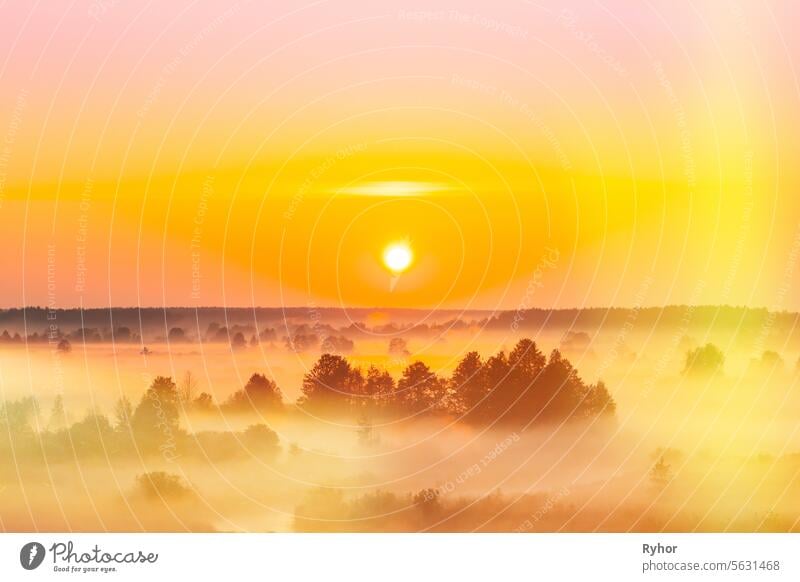 Amazing Sunrise Sunset Over Misty foggy Landscape Scenic View Of Morning Sky With Rising Sun Above Forest. altered sunrise sky tranquil shade weather scenic
