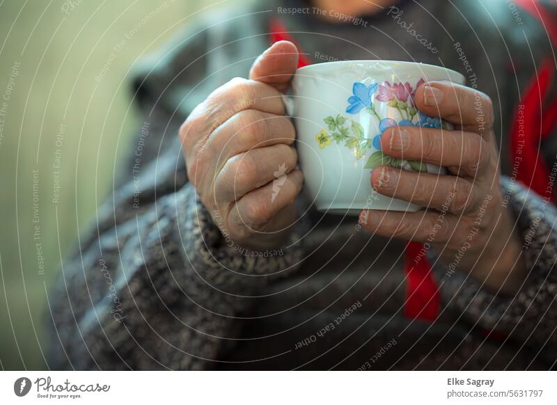 Coffee break Hands warm up with a warm cup hands Woman To hold on Cup Hot drink To enjoy Break stop Coffee cup